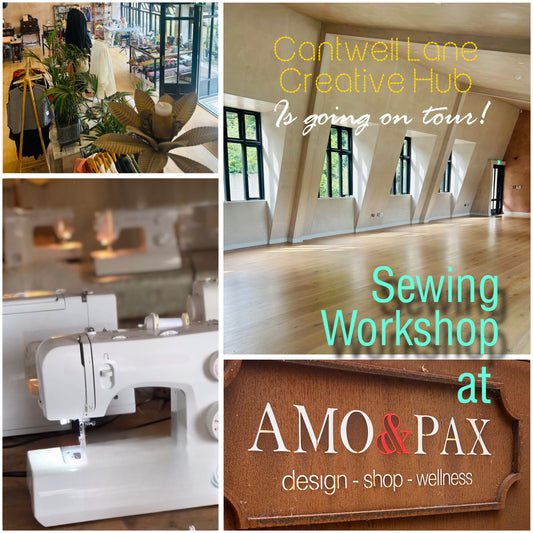 Learn to Sew, (and use a sewing machine) a beginner’s workshop. At Amo & Pax.